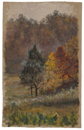 Autumn Woods Along Road to Rockville, Maryland