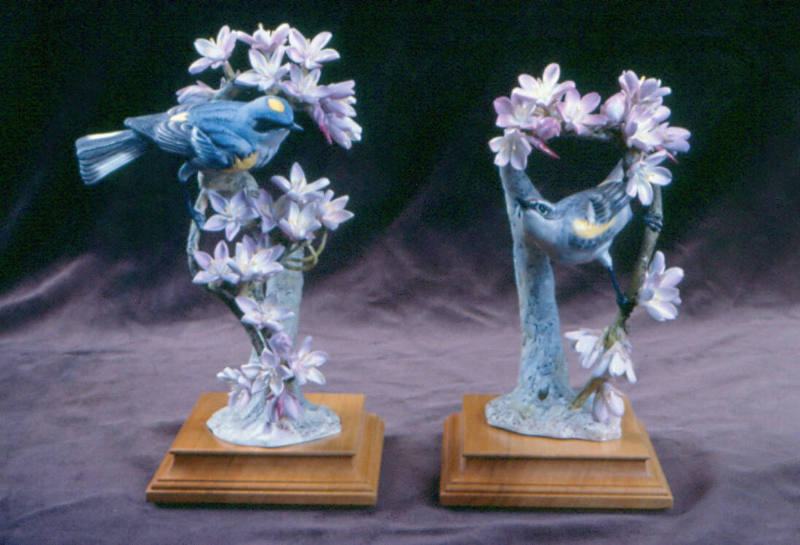 Pair of Myrtle Warblers and Weeping Cherry