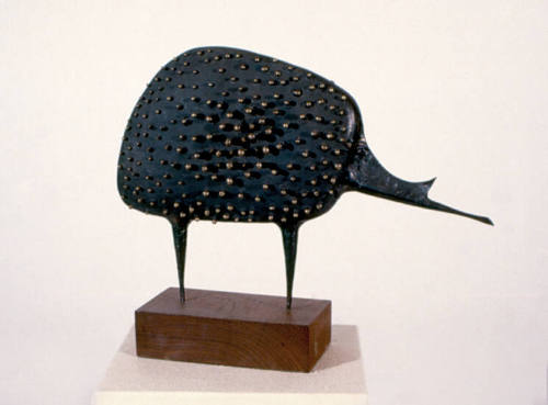 The Anteater