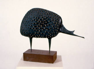 The Anteater