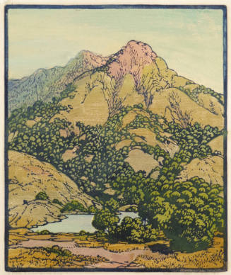 These Embroidered Hills