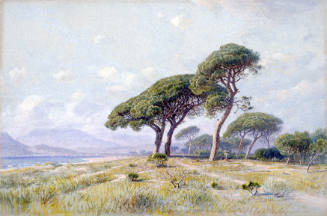 Cannes