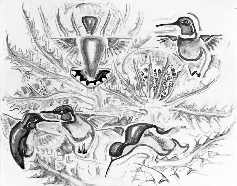 Hummingbirds
