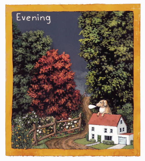 Evening