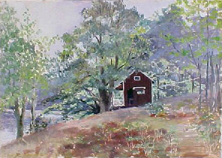 Shack at Elk Lake, Pennsylvania