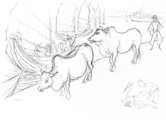 Cows and Junke