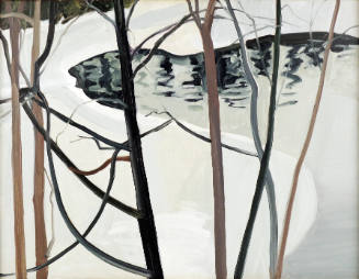 Eli's Pond, Black and White