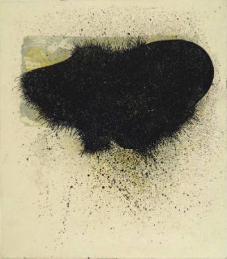 Shape Shift 4