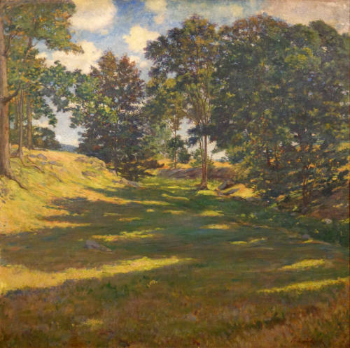 Summer Afternoon