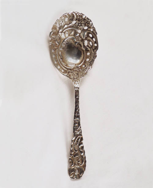 Ice Spoon
