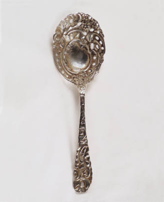 Ice Spoon