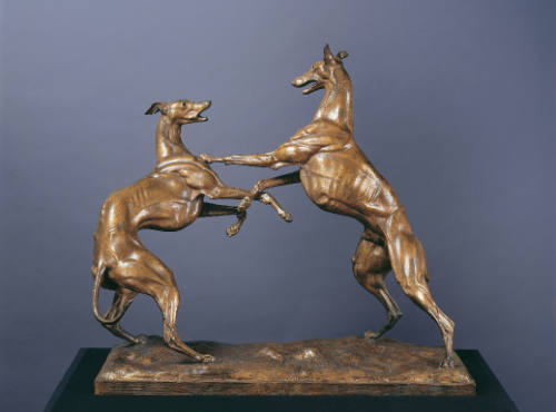 Greyhounds Playing