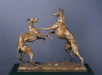 Greyhounds Playing