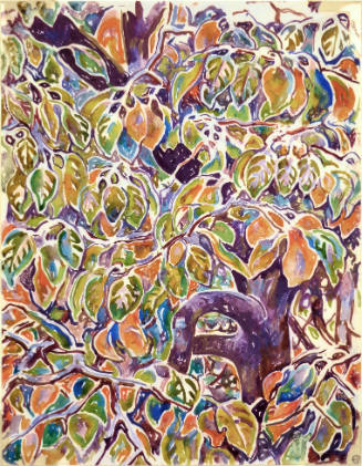 Untitled [Tree/Autumn Leaves]