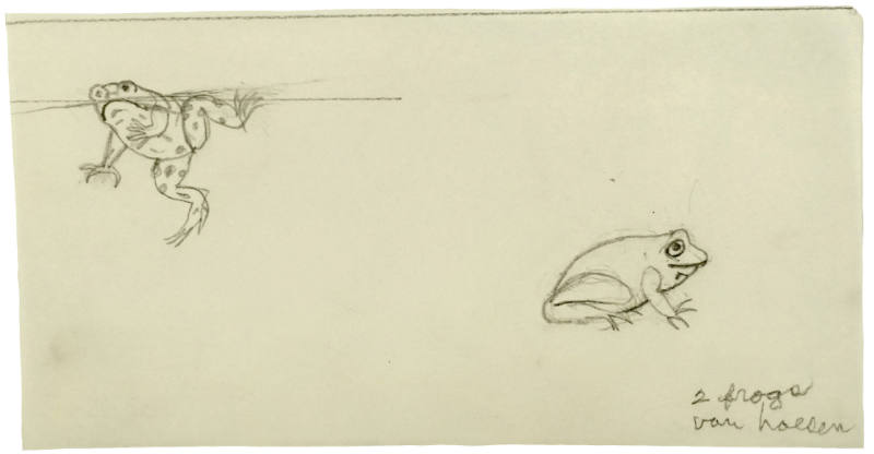 Two Frogs