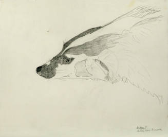 Badger I