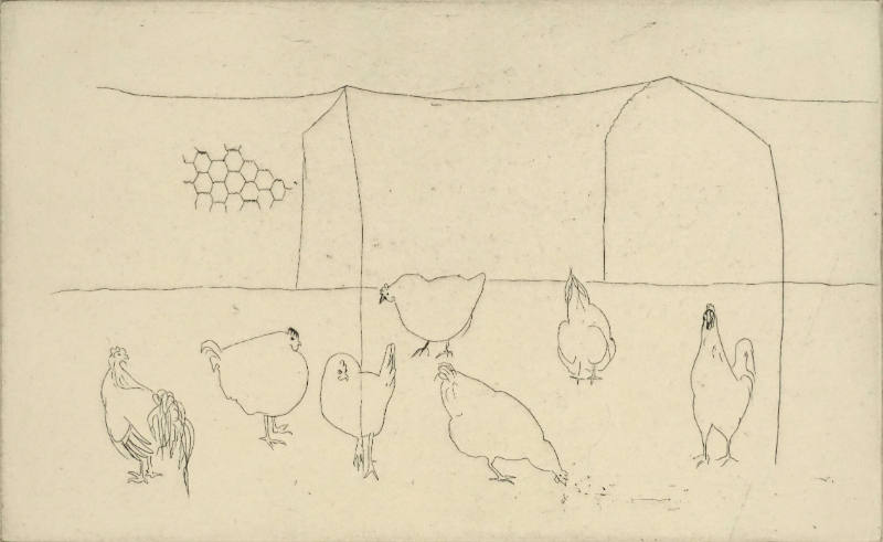 Chickens