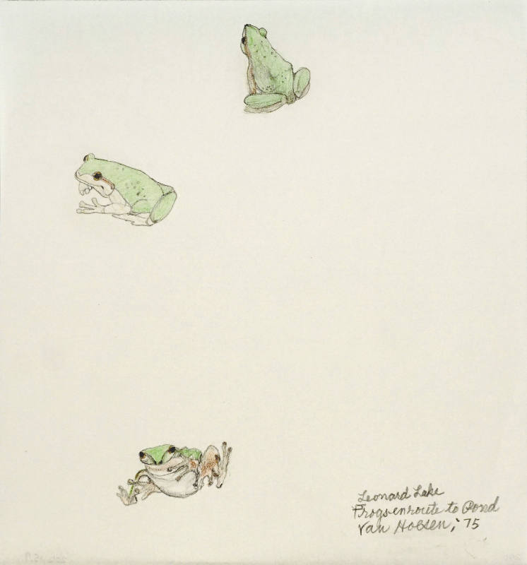 Leonard Lake Frogs en Route to Pond
