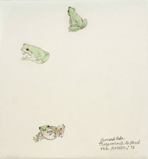 Leonard Lake Frogs en Route to Pond