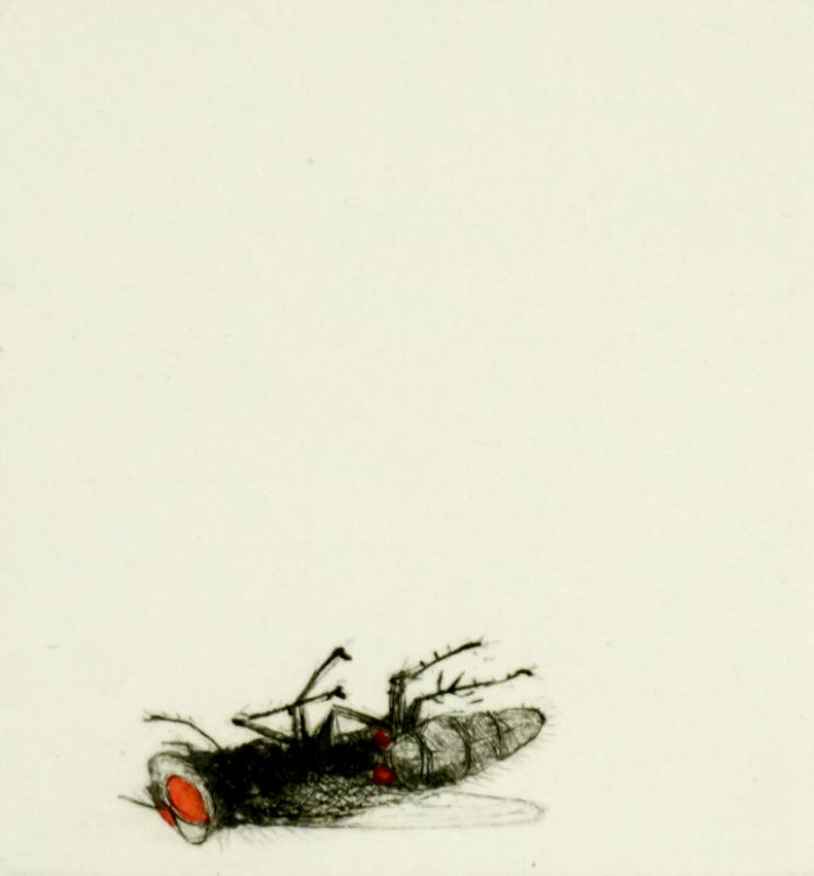 Fly