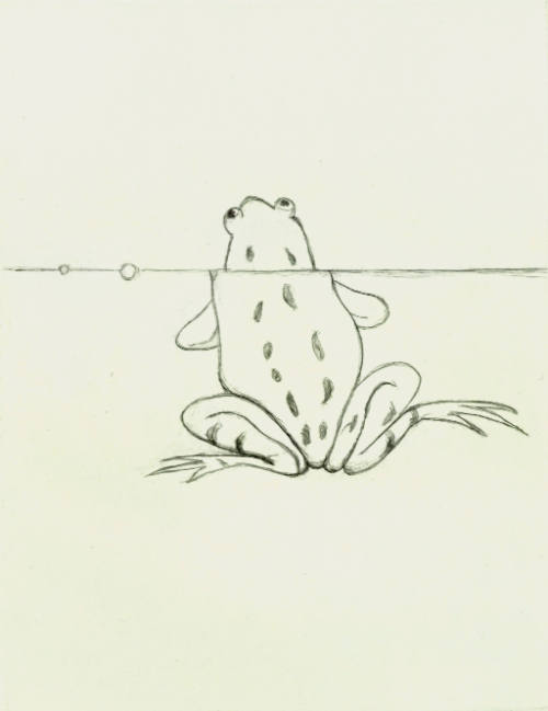 One Frog