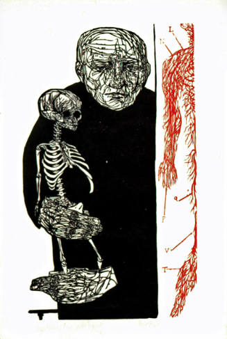 Anatomist