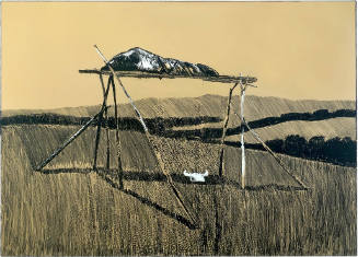 Sioux Burial at Mouse River