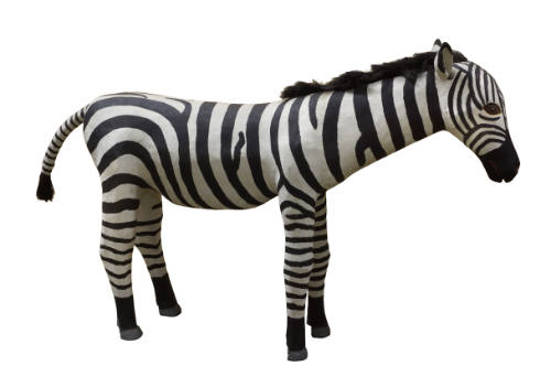 Zebra