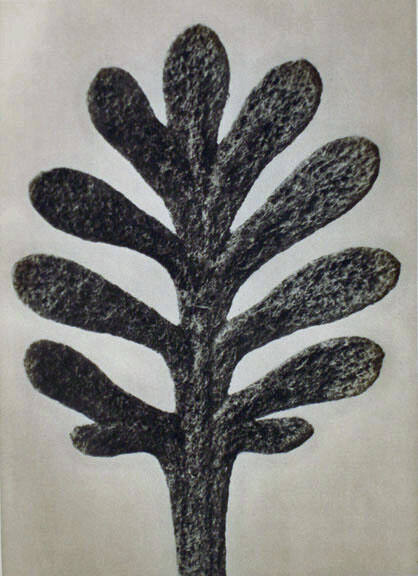 Karl Blossfeldt