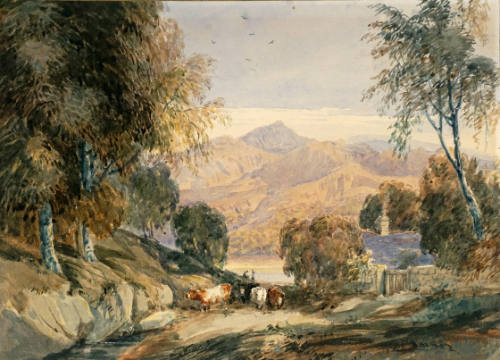 David Cox