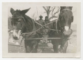 [Two boys in mule-drawn cart]
