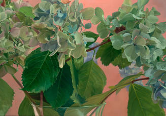 Hydrangea VI